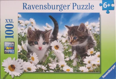 Kitties & Daisies