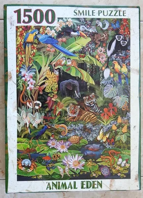 Animal Eden