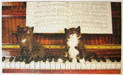 Kitten Duet