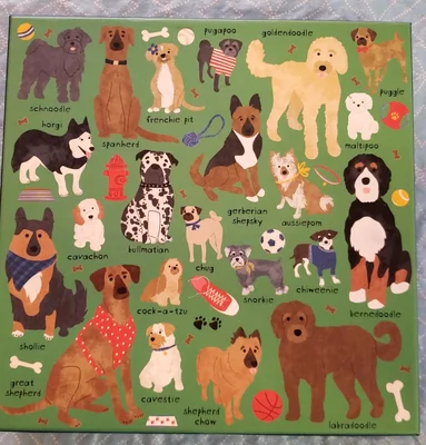 Doodle Dogs