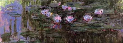 Nymphéas