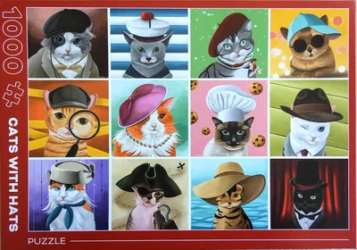 Cats With Hats