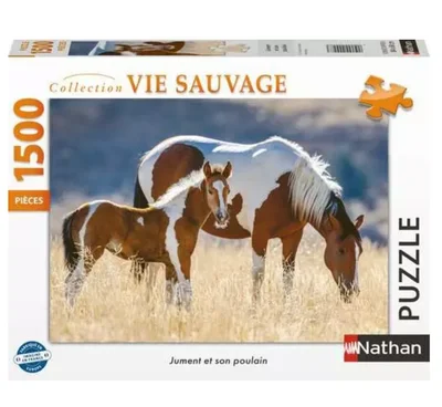 Jument et son poulain