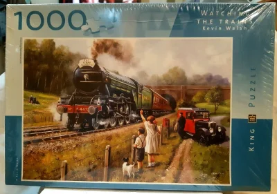 Watching the trains