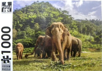 Thailand Elephants