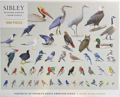 Portraits of Favorite North American Birds