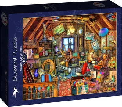 Hidden Object Attic