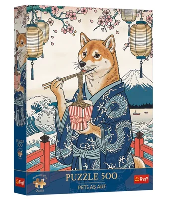 La Méditation des Nouilles du Shiba