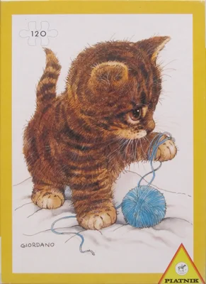 Kitten Involved in Wool