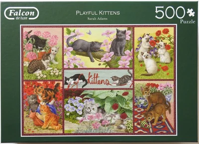Playful Kittens