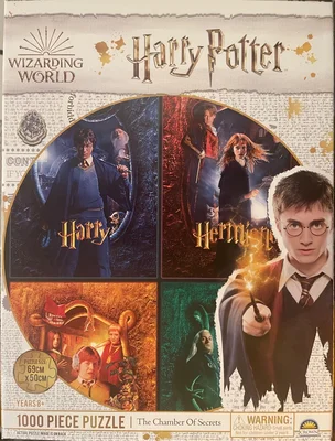 The Chamber of Secrets