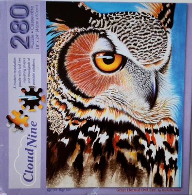 Great Horned Owl Eye