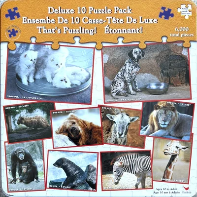 Deluxe 10 Puzzle Pack That's Puzzling!