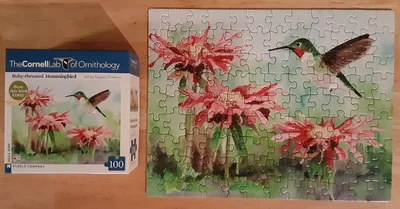 Ruby-throated Hummingbird