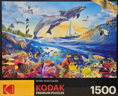 Playful Summer Dolphins