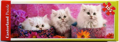 Three Fluffy White Kittens