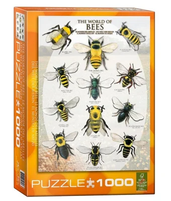 The World of Bees