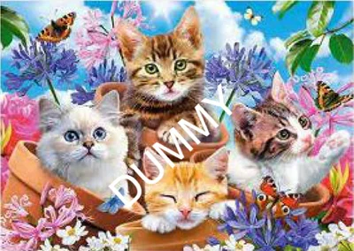 Kittens with Flowers