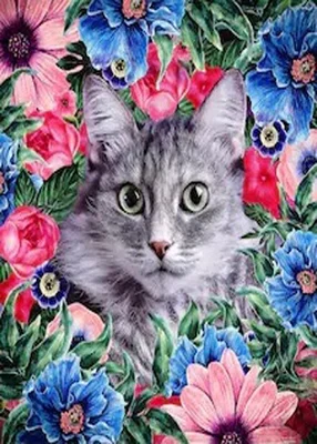 Kitten Framed with Flowers