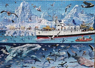 François Ruyer - Arctic - Bluebird Boat