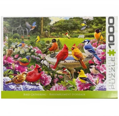 Bird Gathering - Rassemblement d’oiseaux