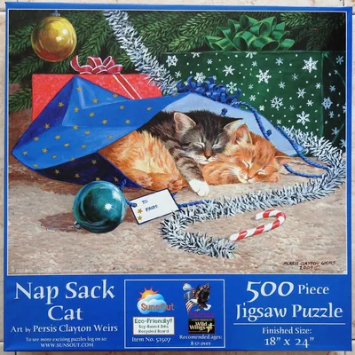 Nap Sack Cat