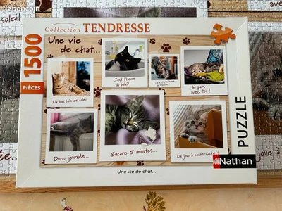 Une vie de chat