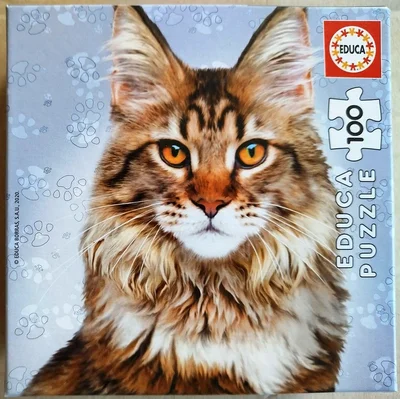 Maine Coon