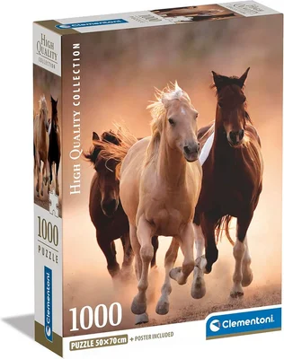 Chevaux sauvages
