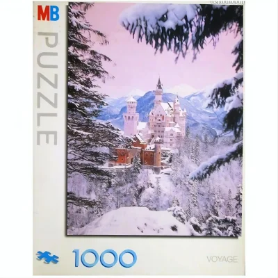 Neuschwanstein sous la neige