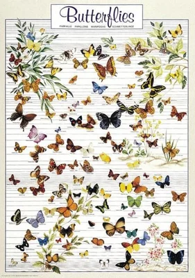 BUTTERFLIES