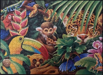 Jungle Animals