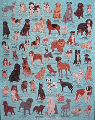 The Dog Lover's Jigsaw Puzzle