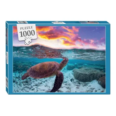 Tortue