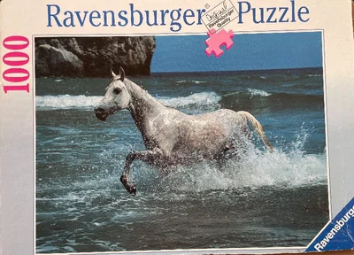 Cheval dans la mer