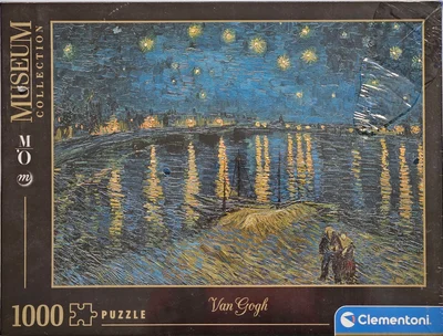 Starry Night on the Rhône