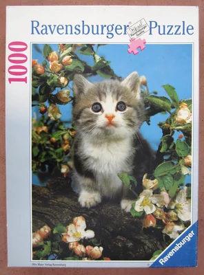 Kätzchen im Apfelbaum