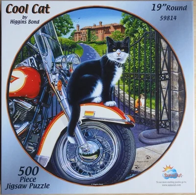 Cool Cat