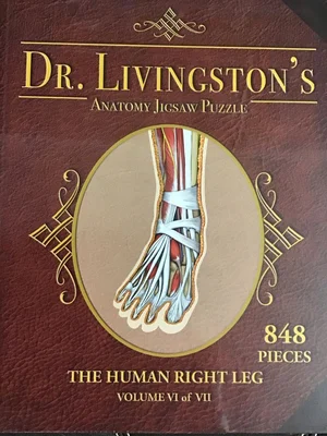 Volume VI: The Human Right Leg