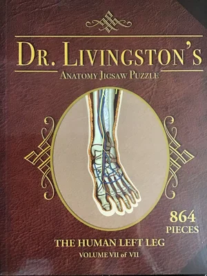 Volume VII: The Human Left Leg