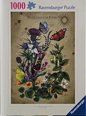 The Life Circle of the Butterfly