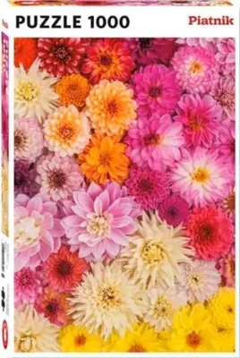 Dahlias