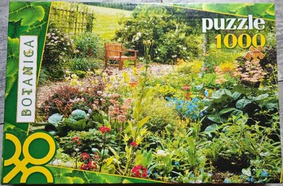 Garden in June ( jardin en juin)