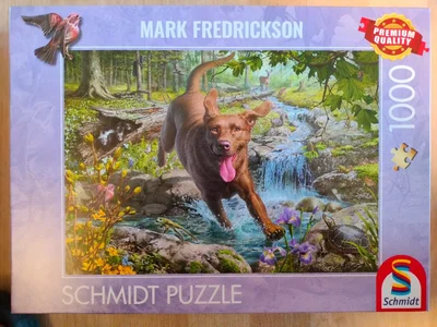 Amazing dogs - Springtime cavorting with a Labrador retriever