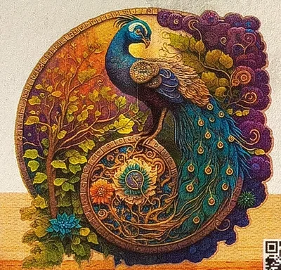 Peacock