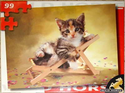 [Kitten in Deck Chair]