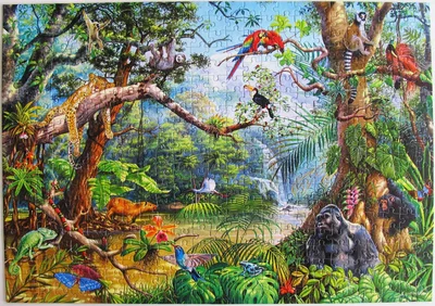 Life Hidden in Jungle