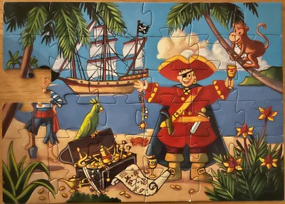 The pirate and the treasure