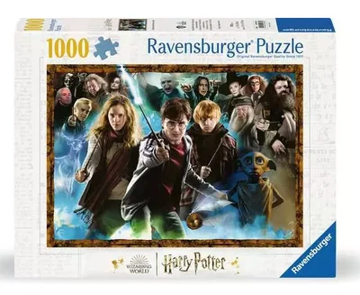 Harry Potter et les sorciers