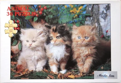 Three Kittens